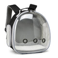 BubblePaws bubble cat backpack in Midnight Black