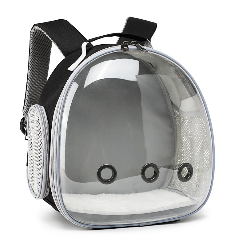 BubblePaws bubble cat backpack in Midnight Black