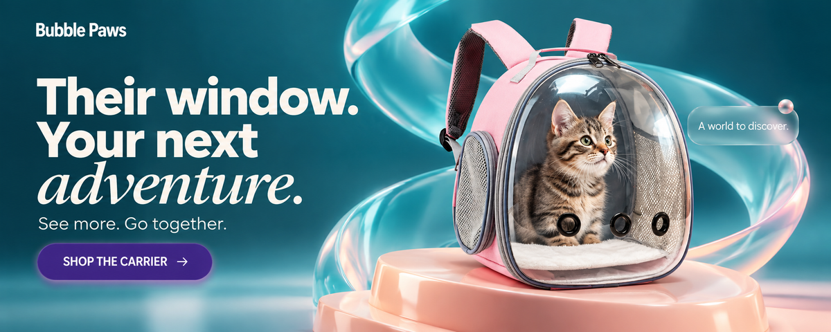 BubblePaws clear bubble cat backpack with kitten – Their window. Your next adventure.